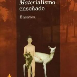 MATERIALISMO ENSOÑADO ENSAYOS - ROZITCHNER, LEÓN - TINTA LIMÓN